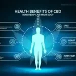 Terpenos Inhalador Nasal - Cerebro, Estómago, Huesos, Ojos, Corazón, Intestinos